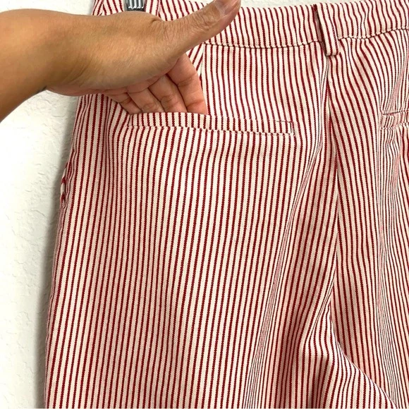 Saint Geraldine Marshall Pinstripe Crop Wide Leg Pants Size S - Picture 9 of 14